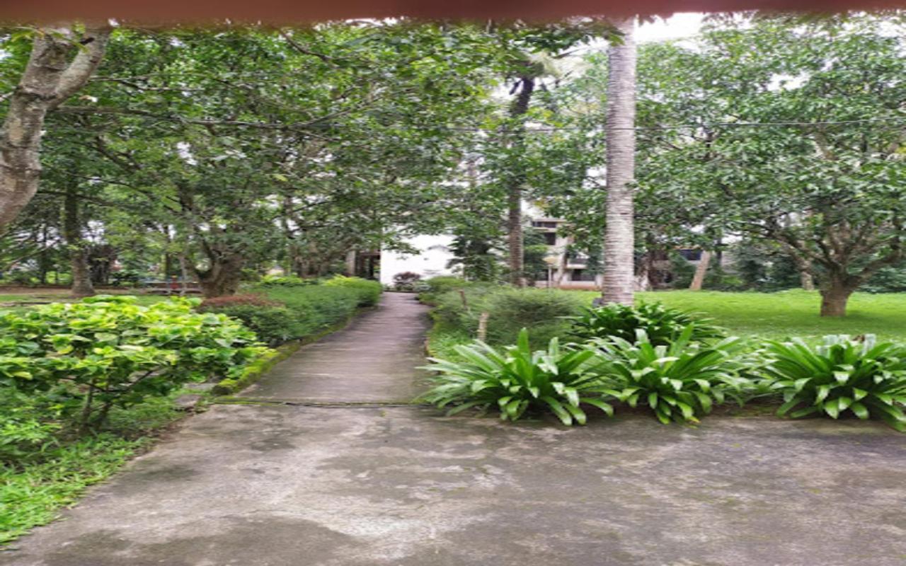 Coorg Green Farm Resort Кушалнагар Экстерьер фото
