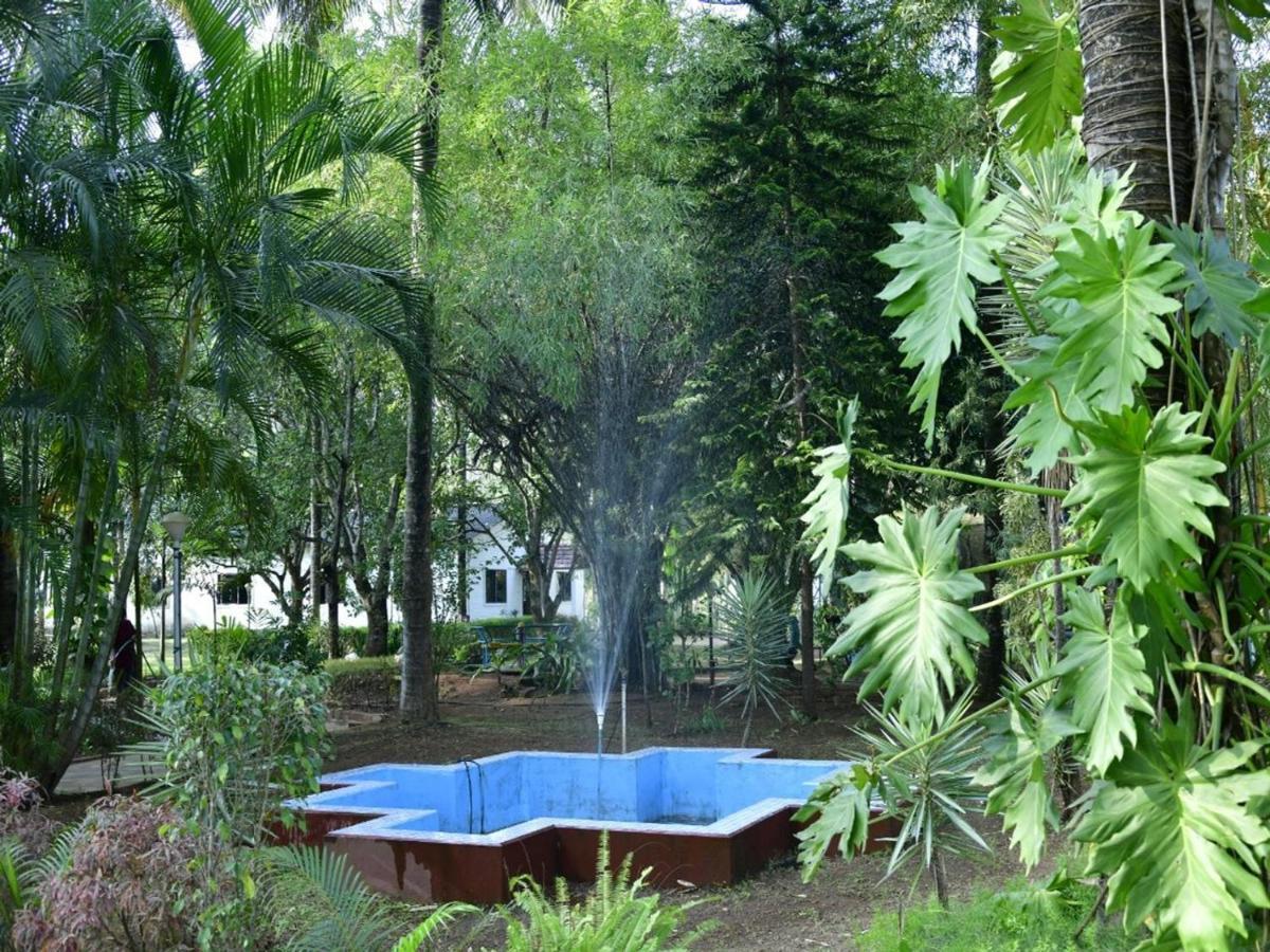 Coorg Green Farm Resort Кушалнагар Экстерьер фото